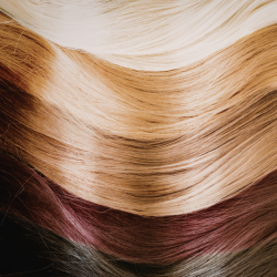 Extensions