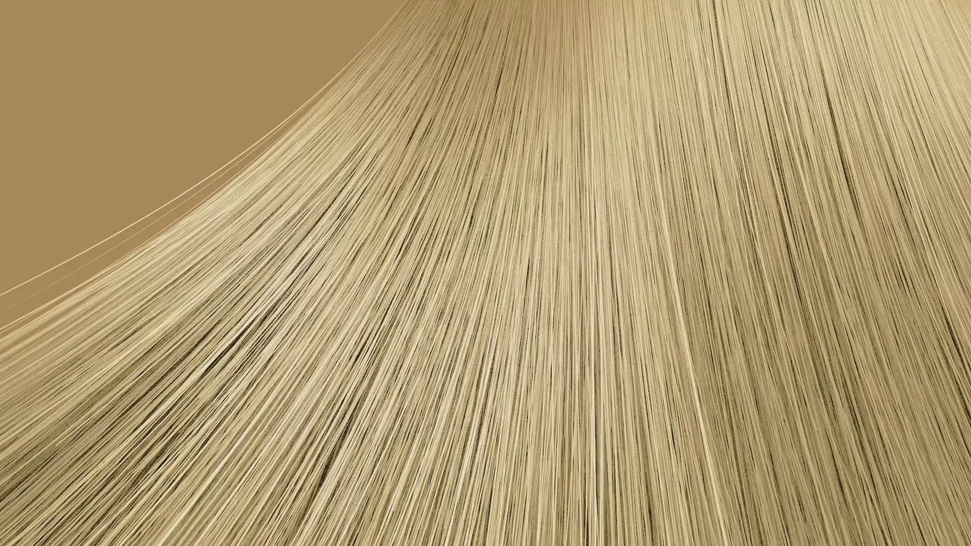 Charger la vidéo : 